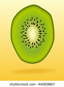 kiwi slice piece vector