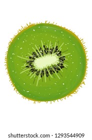 Kiwi sliced in halve. Hand drawn. 