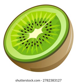 kiwi sliced vector illustration, detailed seed pattern, white background