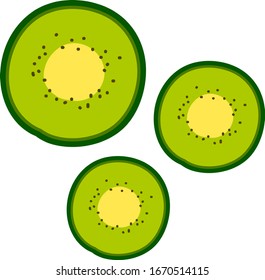 Kiwi slices, illustration, vector on white background.
