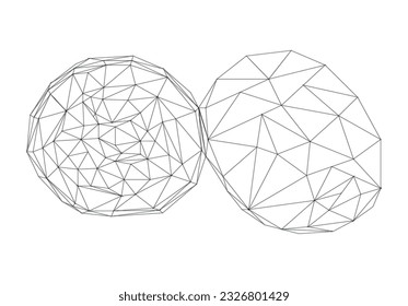 Kiwi im Stil von Low-Poly. schwarzer Kiwi-Umriss