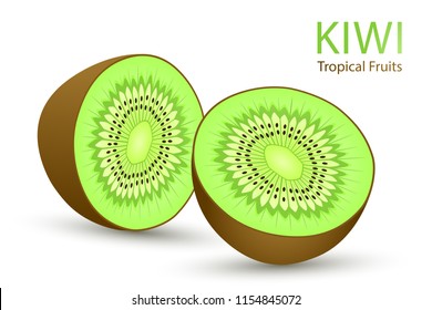 Kiwi tropical fruit vector illustration. Green kiwi fruit half-cut slices closeup isolated on white background. Tropical fruit cut into two halves with brown skin and seeds, green flesh. Vector EPS10.