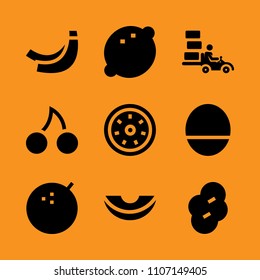 kiwi, tropical, pulp and circle icon set. Vector illustration for web and design.