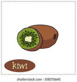 kiwi vector