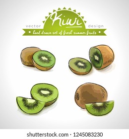 Kiwi. Vector hand drawn collection of sketch fresh fruits illustration. Isolated	
