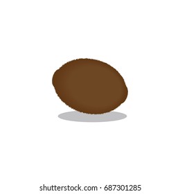 Kiwi vector icon colorful