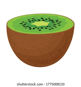 Kiwi vector icon.Cartoon vector icon isolated on white background kiwi.