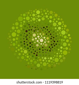 Kiwi. Vector illustration.