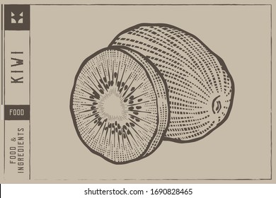 Kiwi Vector illustration - Hand drawn - Out line