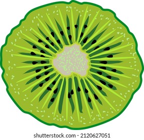 Kiwi. Vector illustration isolated on transparent background.