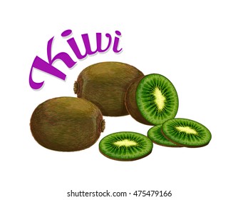 Kiwi. Vector illustration made in a realistic style. Isolated on white background.