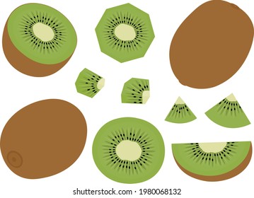 Kiwi vector illustration. Set tropical fruits slices
