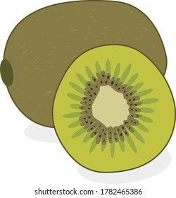 kiwi vector isolated image on white background