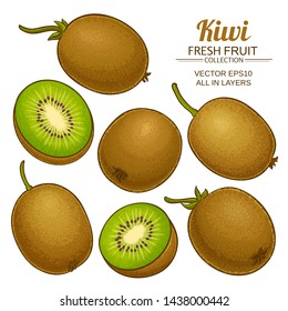 kiwi vector set on white background