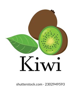 Vector Kiwi. Tarjeta Flash Vocabularia para niños con fruta Kiwi. Una mano de fruta tibia sobre fondo blanco para tu diseño. Imagen y texto.