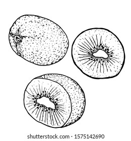 Kiwi whole, in the context of three options, black line sketch isolated on white background vector, stock illustration for design and decor, for menu for stickers.