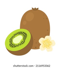 Kiwi whole fruit and half sliced isolated on white background. Ripe Chinese gooseberry or kiwifruit cartoon icon for package design. Vector illustration of tropical fruits in flat style.