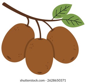 Kiwi whole fruit with leaves isolated on a white background. Cartoon icon for package design. Vector illustration of tropical fruits in flat style