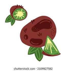 Kiwi. Whole, piece, leafs and icon. Good for posters, package, t-shirts, postcards, shopping bags. Vector hand draw cartoon illustration.