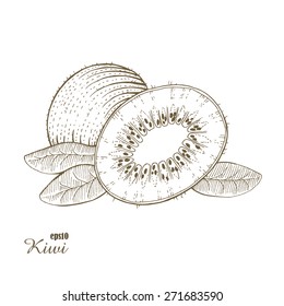 Kiwi. Woodcut style. Hand drawn sketch fruits. Vector illustration.