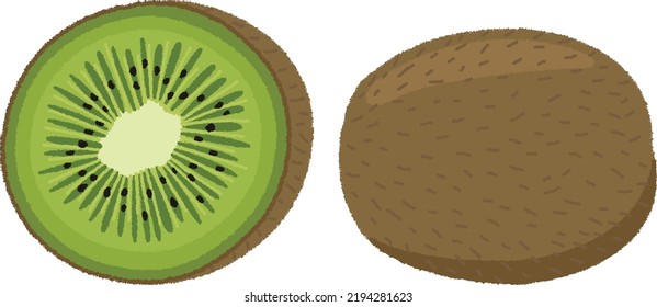 Kiwifruit is characterized by its sweet and sour taste. It has the highest amount of vitamin C per 100g of fruits. It has an intestinal regulation effect and is effective for constipation.