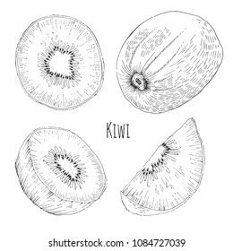 Kiwifruit, full, half and sliced, vector, lines set