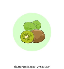 Kiwifruit, Round Icon Colorful Kiwi, Fruit Icon, Vector Illustration
