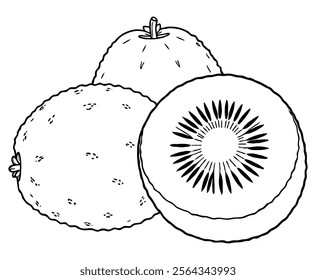 Kiwis Fruit Coloring Page for Kids