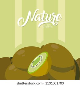 Kiwis nature fruit