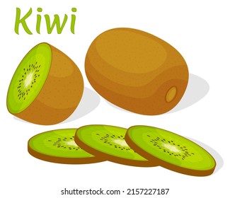 Kiwi.Whole fruit, half and cut pieces.Vector illustration isolated on a white background.