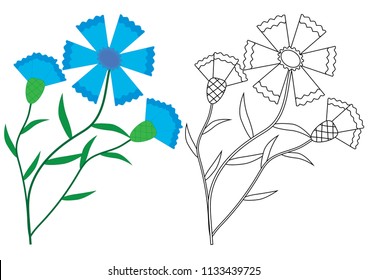 Knapweed (Cornflower) flowers. Coloring book, vector illustration