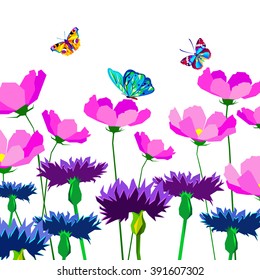 Knapweed flower on white background. vector illustration of blue little flowers butterfly