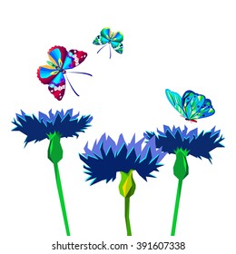 Knapweed flower on white background. vector illustration of blue little flowers butterfly