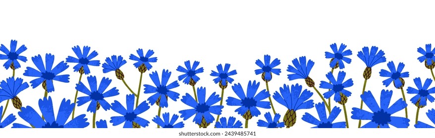 Knapweed flowers border. Blue cornflowers, summer floral horizontal decoration. Field wildflowers, blossomed blooms decor, banner. Botanical flat vector illustration isolated on white background