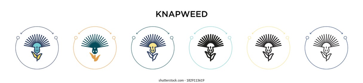 Knapweed icon in filled, thin line, outline and stroke style. Vector illustration of two colored and black knapweed vector icons designs can be used for mobile, ui, web