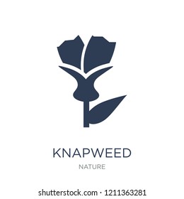 Knapweed icon. Trendy flat vector Knapweed icon on white background from nature collection, vector illustration can be use for web and mobile, eps10