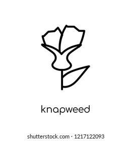 Knapweed icon. Trendy modern flat linear vector Knapweed icon on white background from thin line nature collection, editable outline stroke vector illustration