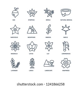 Knapweed, Landscape, Larch, Lavender, Lemongrass, Oak, Narcissus, Magnolia, Mimosa outline vector icons from 16 set