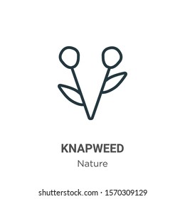 Knapweed outline vector icon. Thin line black knapweed icon, flat vector simple element illustration from editable nature concept isolated on white background