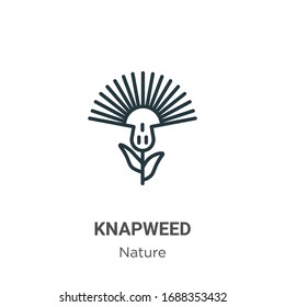 Knapweed outline vector icon. Thin line black knapweed icon, flat vector simple element illustration from editable nature concept isolated stroke on white background