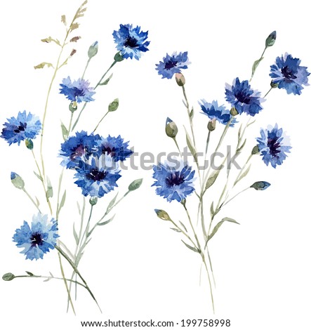 Similar – Image, Stock Photo Watercolor blue cornflowers and wildflowers bouquet, summer wedding isolated illustration