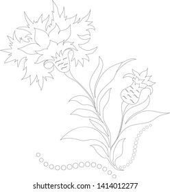 Knapweed. Wild flower. Zenart Anti stress coloring.
