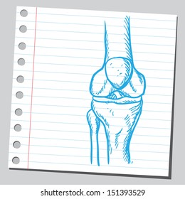 Knee Drawing Images, Stock Photos & Vectors | Shutterstock