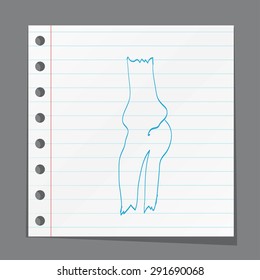 Knee anatomy
