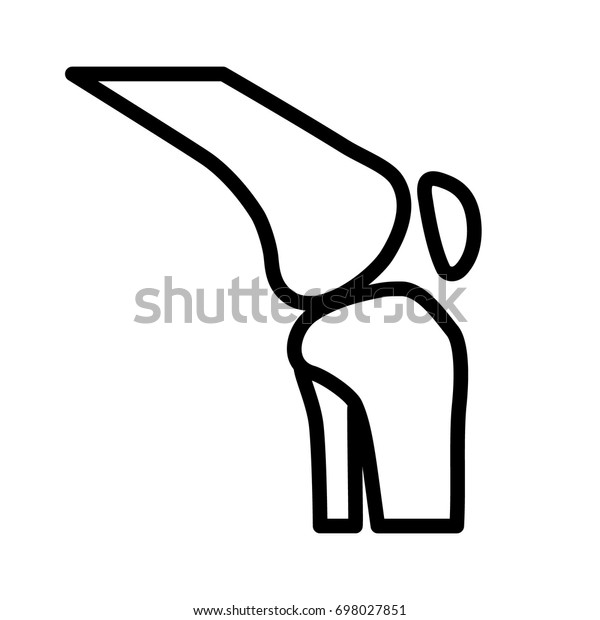 Knee Bone Joint Articulation Articular Surface Stock Vector (Royalty ...