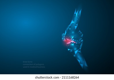knee bone polygon connection used in medical business