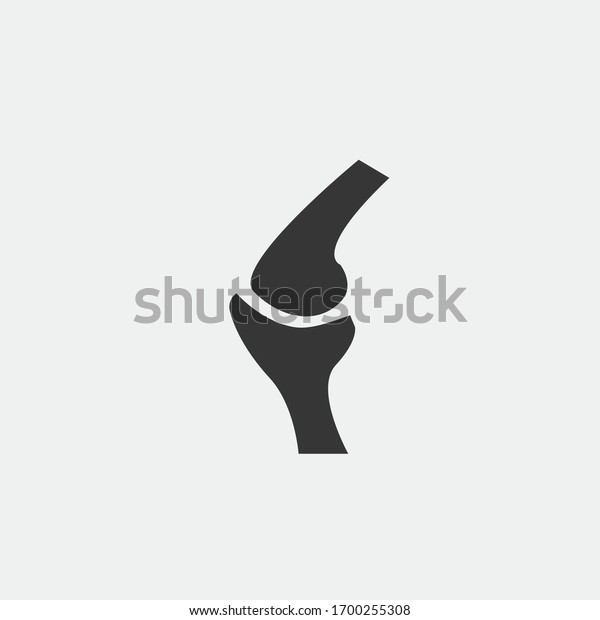 Knee Cap Joint Vector Icon Human Stock Vector (Royalty Free) 1700255308 ...