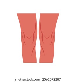 Knee, Human Body Part Illustration