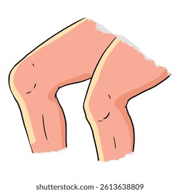 Knee isolated on a white background