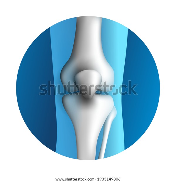 Knee Joint 3d Icon Synovial Joint Stock Vector (Royalty Free) 1933149806